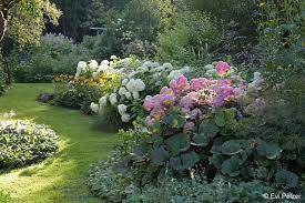 Gewinnspiel Hortensiengarten Gestaltungsideen Und Praxistipps In 2020 Hortensien Garten Haus Und Garten Pflanzen