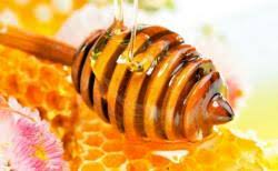 Madu yang dihasilkan oleh lebah boleh dimakan begitu sahaja atau dicampurkan dengan bahan makanan lain. Inilah 9 Manfaat Minum Madu Dengan Air Hangat Antimikroba Hingga Meningkatkan Fungsi Kognitif Sriwijaya Post