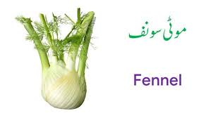 Vegetable Names In English And Urdu With Pictures Download Pdf Vegetables Name Of Vegetables Fruits Name In English