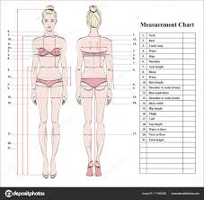 Woman Body Measurement Chart Scheme Measurement Human Body