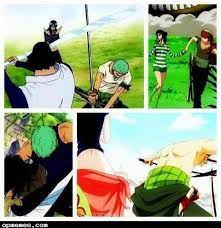 Zoro X Robin Http Opmemes Com Zoro Always Saves Robin Zoro And Robin One Piece Fanart Zoro