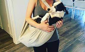 Do Dogs Think We Re Their Parents