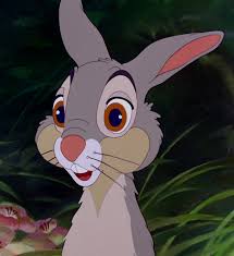 Say bird. wiggles his nose. Thumper Bambi Wiki Fandom