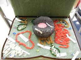 Check spelling or type a new query. How Can You Make A Model Of A Cell