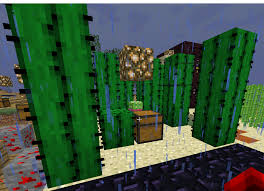 There are various plants that you can grow in minecraft for use as food, brewing, decoration and dyes. Cactus Minion Storage Chest Broken Hypixel Minecraft Server And Maps