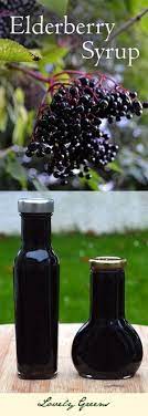 Elderberry Syrup Recipe Lovely Greens Elderberry Syrup Recipe Elderberry Syrup Elderberry Recipes