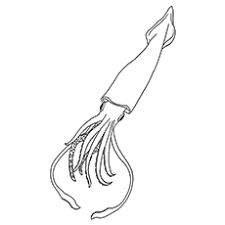 You can search several different ways, depending on what information you have available to enter in the site's search bar. Top 10 Free Printable Squid Coloring Pages Online