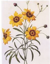 1,212 likes · 13 talking about this. 72 Bunga Matahari Ideas Sunflower Sunflower Drawing Sunflower Art