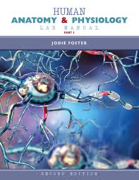Human Anatomy And Physiology Lab Manual Part I Higher Education