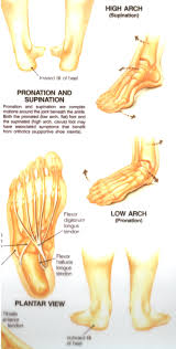 Faq About Orthotics Feet Care Massage Therapy Orthotics