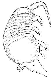 Wilmar Rincon Castellanos (wilmarin11)