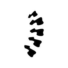 Spine Icon For Your Project Project Icons Spine Backbone Png And Vector With Transparent Background For Free Download Icon Cool Anime Pictures Spines