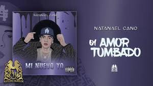 Lyrics Translations Of Amor Tumbado By Natanael Cano Popnable