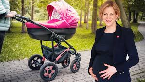 Was einmal als gute idee begonnen hat, ist seit dem abgang von strolz eine katastrophe. Politik Mit Baby Wie Soll Das Gehen Frau Meinl Reisinger Krone At