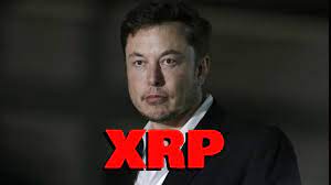 John mcafee says xrp is worthless according to john mcafee, the second advantage crypto has over fiat is being trustless. Elon Musk Responds To Xrp Community 2 Billion Worthless Cryptocurrency Youtube