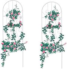 Garden trellis panels clematis trellis flower trellis metal trellis plant trellis clematis flower solar fairy lights outdoor screens laser. Amazon Com Garden Trellis For Vines And Climbing Plants 2 Pack White Metal Wire Lattice Grid Panels For Cucumber Vegetables Clematis Support Rose Vines Durable Sturdy Beautiful Plant Decor