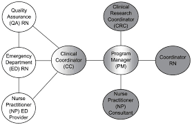 Flow Chart Illustrating Rn Roles And Relationships The