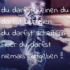 Gib Niemals Auf Und Verfolge Deine Grossten Ziele Las Sie Nicht Unbedeutend Gibniemalsauf Gibnichtauf Spruche Sprucheseite Mot Zitate Zitate Lesen Zitate