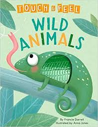 Wild Animals A Touch And Feel Book Children S Board Book Educational Francie Darrell Anna Jones Anna Jones Touch And Feel Book Animals Wild Board Books