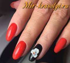 La envergadura de un adulto es de unos cuatro metros. Color De Barniz Para Dedos Como Hacer Una Manicura Feng Shui Y Que Dedos Pintar Manicura De Dinero