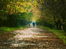 We did not find results for: Vremea PanÄƒ Pe 14 Septembrie Cat De Cald Va Fi Si Cat Va Ploua In Fiecare Regiune A Å£Äƒrii