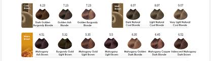 Loreal Professional Majirel Hair Colour Chart Lajoshrich Com