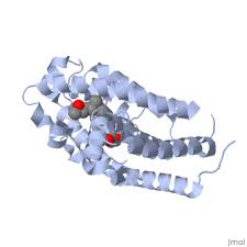 Structural, biological, genetic and clinical aspects. Vitamin D Receptor Proteopedia Life In 3d