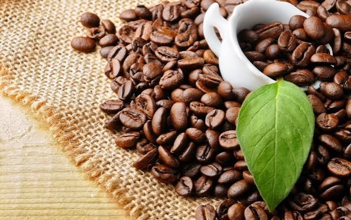 Giá cà phê khó hạ nhiệt ít nhất hai năm nữa