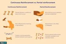 Image result for What are examples of each schedule of reinforcement that you can come across in life? Which schedule leads to the most long lasting/meaningful change?