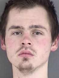 POLICE REPORTS: Animal Control takes horse with no claim