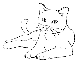 Seperti yang terlihat dalam sketsa gambar kucing diatas, yang perlu diperhatikan dalam menggambarnya adalah bagian kepala. Sketsa Gambar Kucing Untuk Mewarnai Mewarnai Cerita Terbaru Lucu Sedih Humor Kocak Romantis