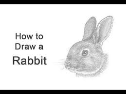 Learn How To Draw The Details Of A Rabbit Head With This How To Video And Step By Step Drawing Instructions Rabbit Drawing Rabbit Head Drawings