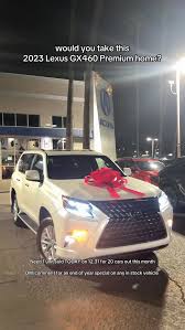 Image result for Manganese Luster 2025 LZ