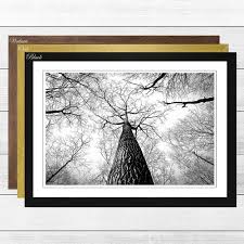 Black And White Framed Prints Uk Tree Trunk Forest Framed Photographic Print Big Box Art Frame Colour Black Kids Art Wall Frames Framed Art