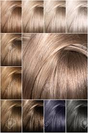 Color Chart For Tints Hair Color Palette With A Wide Range Of