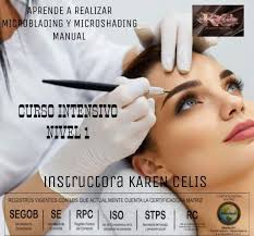 Microblading Karen Celis Academy