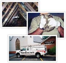City of charleston, wv, charleston, west virginia. Pest Control In West Virginia Wildlife Removal Service Inc