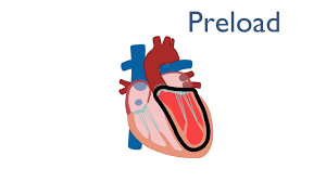 Image result for Preload