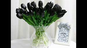 لغة الطبيعة 3 ورود سوداء توليب نادرة Black Tulipes Youtube