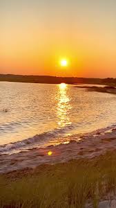 Logan Snelling (@logannicolesnell)