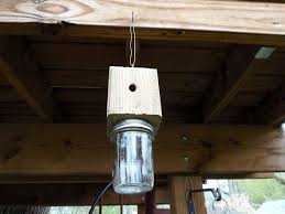How To Build A Carpenter Bee Trap Carpenter Bee Trap Wood Bee Trap Bee Traps