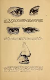 Illustrated Physiognomy Face Reading Illustration Public Domain Books