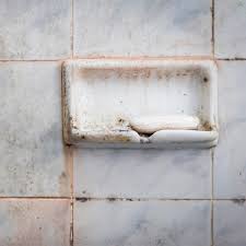 Common sense bathroom mold removal. What Is That Disgusting Pink Slime In Your Bathroom Mold In Bathroom Bathroom Red House Cleaning Tips