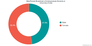 University Of Iowa Diversity Racial Demographics Other Stats