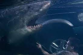 bait shark movies surf film sharks kopek baligi film kopek