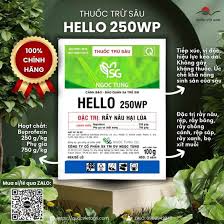 Hello 250WP