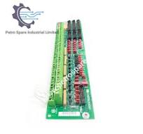 DS200TBQBG1ACB General Electric Input Termination Module