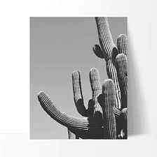 Black frame mockup with a cactus in a pot on a white table.landscape orientation. Western Cactus Desert Poster Print Art 11 X 14 Inches Black White Grey Color Modern Home Decor Office Space Artwork Buy Online In Cambodia At Cambodia Desertcart Com Productid 31659965