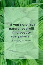 Still, beauty is an integral part of the equation. 58 Best Nature Quotes Inspirational Sayings About Nature
