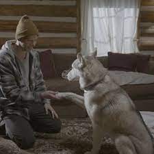 زیرنویس The Year of the Dog 2022 - بلو سابتايتل